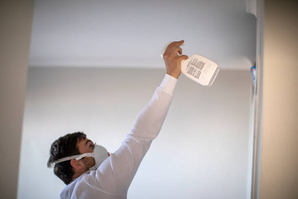 Best Residential Mold Removal  in Lincoln, ID