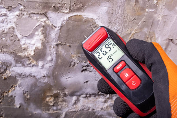 Best Mold Removal Near Me  in Lincoln, ID